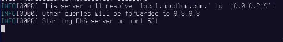 a screenshot of the dev dns server running, indicating that it will resolve
local.nacdlow.com to 10.0.0.219, and other queries will be redirected to
8.8.8.8